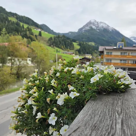 Haus Amber Kleinarl